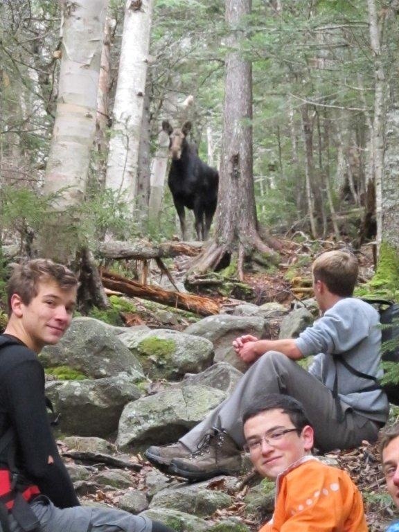 Nate Skvorak, right, watches a moose with Josh Richardson, left, and Jack Brockelmanc. The sighting was a treat on the expedition.