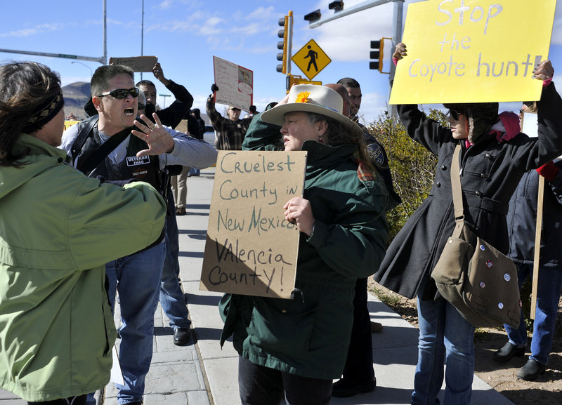 Esteban Marquez, second from left, a supporter of a coyote hunting contest, confronts protester Jean Crawford, center, in Los Lunas, N.M., on Nov. 10.