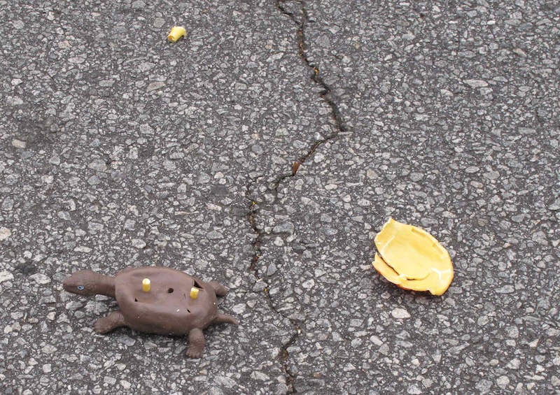 In this Dec. 12, 2012 photo, the shattered plastic shell of a fake turtle sits near the turtle's rubber body on a road near Clemson, S.C. Clemson University student Nathan Weaver is placing fake turtles in roads near campus to see how many drivers intentionally run over the animals. (AP Photo/Jeffrey Collins)