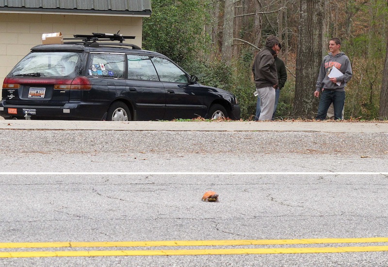 In this Dec. 12, 2012 photo, Clemson University student Nathan Weaver, right, talks with his professor, Rob Baldwin, left, as they wait to see if a fake turtle he is using in his research is run over in a road near Clemson, S.C. Weaver is placing the fake turtle in roads near campus and seeing how many drivers intentionally run over it. (AP Photo/Jeffrey Collins)