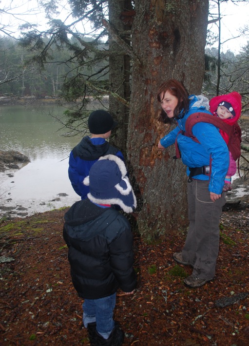 Tracey Hall, environmental educator of the Boothbay Region Land Trust, discusses with children a tree on the Gregory Trail that might have hosted a banquet for woodpeckers.