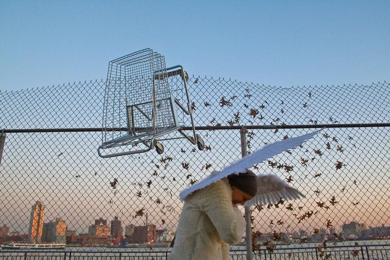 “Shopping Cart, Wings” by Tod Seelie from the Bakery Photocollective's Photo A Go Go auction.