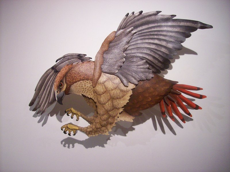 “Red Tailed Hawk” by Hugh Verrier.