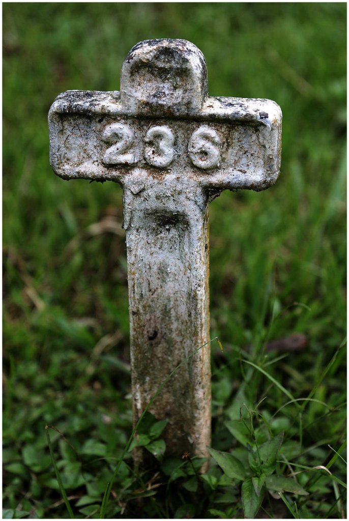 A small cross marks the burial site of a worker who was part of the original construction of the Panama Canal by the French.
