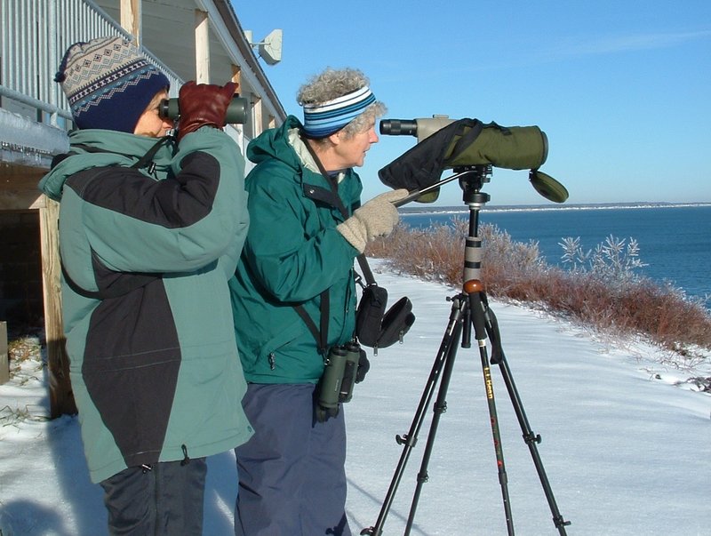 Joanne Stevens, left, and Marie Jordan take part in a past York County Christmas Bird Count at the Cliff House in Ogunquit.