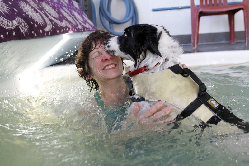 In this Nov. 26, 2012 photo, Joanne Nunes, a human and canine massage therapist, gets licked as she aids Henry, a six-year-old border collie with hip dysplasia and a groin pull, during a therapy session at Fitter Critters & Aqua Paws in Lee, Mass. For two years, the underwater treadmill has been a staple of the facility, used for recovering or injured pooches. (AP Photo/Stephanie Zollshan, The Berkshire Eagle)