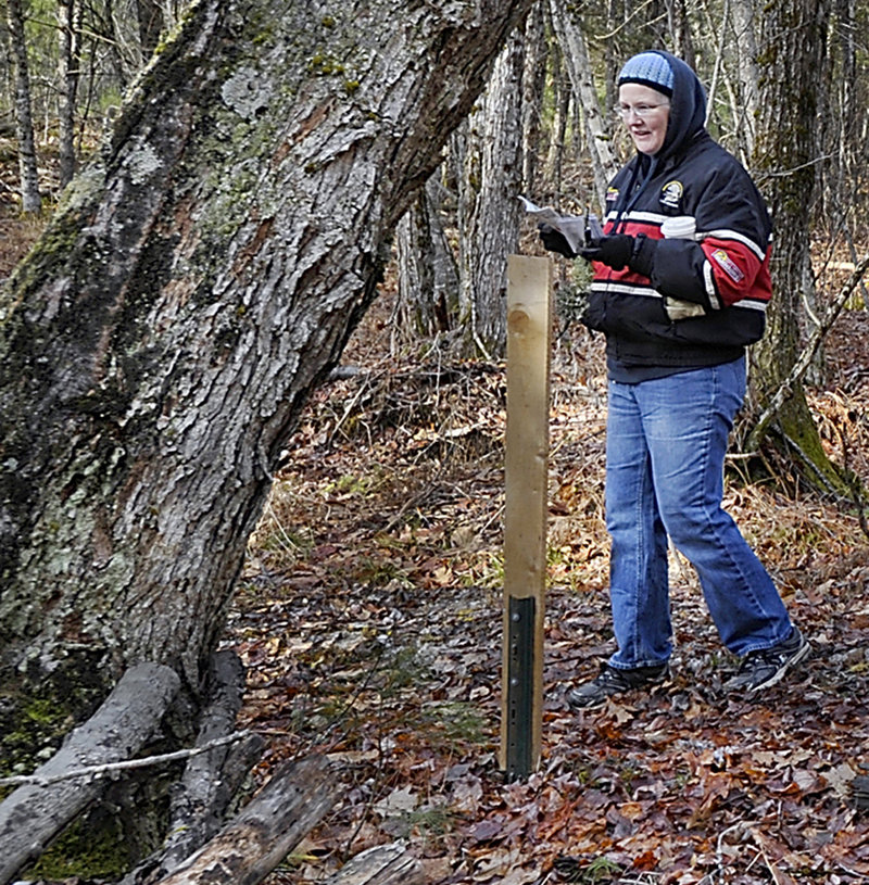 Ann-Marie Ames of Chelsea uses Townsend’s guide to identify trees during a hike of two trails in the Hidden Valley Nature Center.
