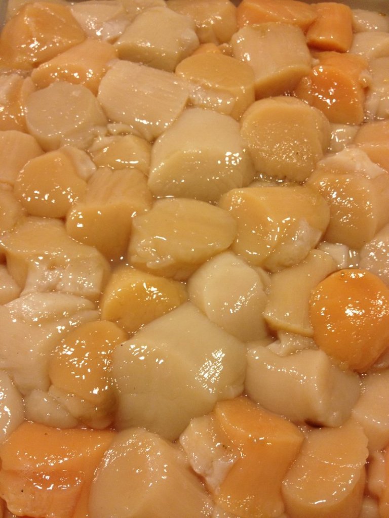 Scallops from the Blue Hill area have been particularly orange this season.