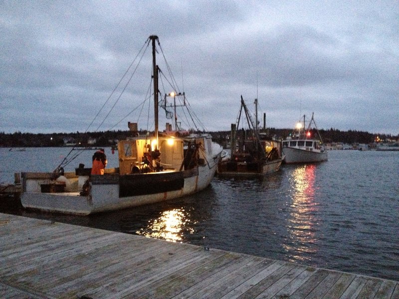The fishing boats Bossy Lady (foreground), the First Edition and the DDT II prepare their catches of scallops harvested from the waters off Blue Hill.