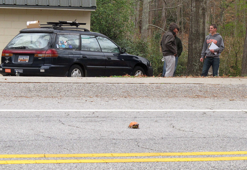 Clemson University student Nathan Weaver, right, talks with his professor, Rob Baldwin, left, as they monitor the fake turtle Weaver placed on a Clemson, S.C., road. Weaver is tracking how many drivers intentionally run over the turtle.