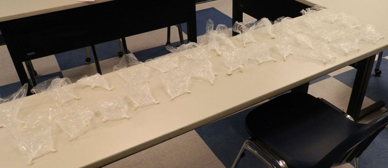 Jerry Lee Adams of Hyde Park, Mass., was arrested Wednesday with what police say was 69 grams of crack cocaine packaged for sale. Photo courtesy Saco police.