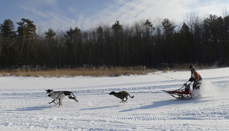 Ethan Daigneault of Waterboro competes in the three-dog junior class at Sunset Ridge Golf Course on Sunday. Organizers included sled dog racing in Westbrook’s first Winter West Festival to give it regional appeal, and the competition drew 45 teams from around New England.