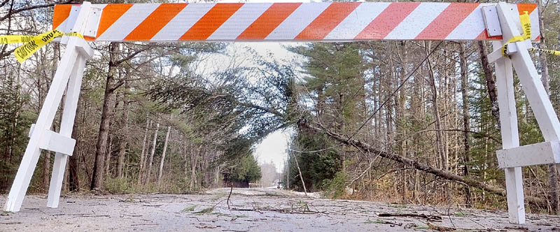 A downed tree hanging on utility wires blocks Lunts Hill Road at 1:38 on Thursday in Litchfield.