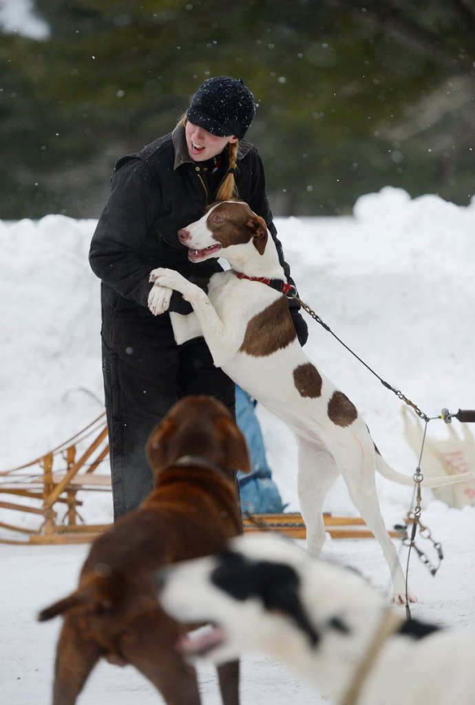 Sara Vanderwood of Oxford is greeted by her dogs, including Kohana, before competing Sunday.