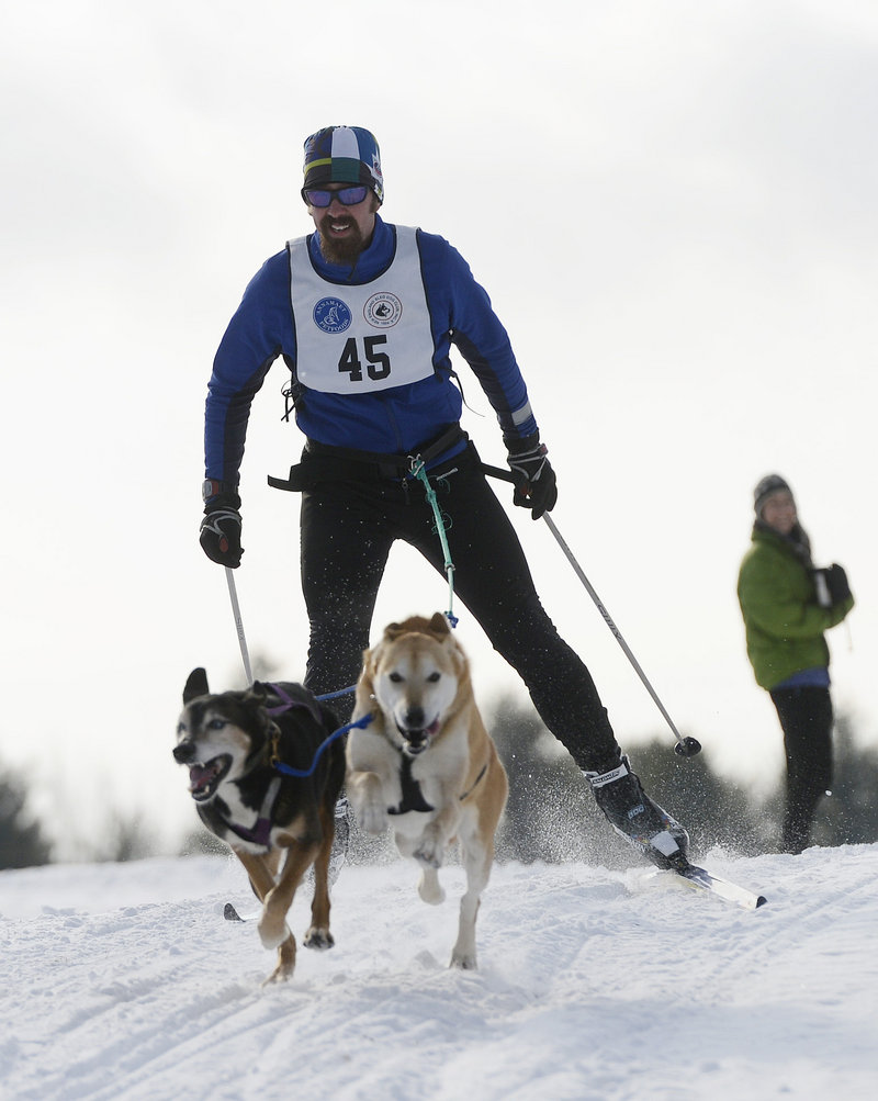 Steven Endres of Bradford, N.H., and two dogs race in the New England Sled Dog Club’s season opening event in Westbrook. Members of the club said there was pent-up demand for sled dog racing because last winter lacked snow.
