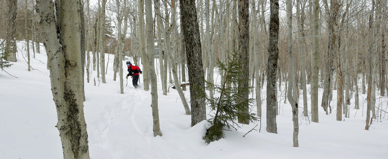 Ski Patrol chief John McElrath, only on a snowboard instead of skis, ventures down Black Mountain’s new expert-only Moxie backcountry trail, accessible by the summit lift by hiking or post-holing, depending on individual preference.