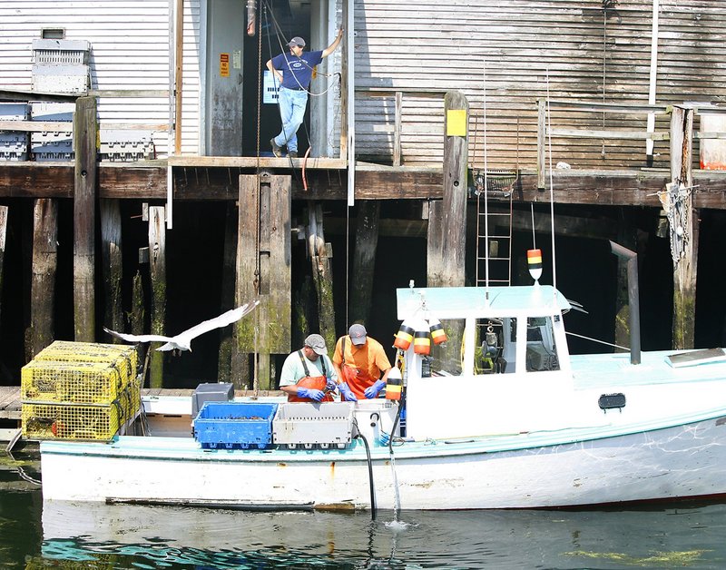 Lobstermen Peter Pray, left, and son Eric sort lobsters on Lady Catherine while docked at Harbor Fish Market in Portland last summer. The Maine Food Strategy will include plans to help commercial fishermen and sea vegetable harvesters.