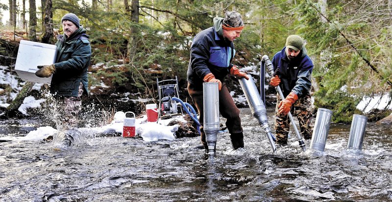 Maine Department of Marine Resources biologist Jason Overlock, right, drills a nest, or redd, as Jason Bartlett, center, places a funnel for Paul Christman, left, to insert Atlantic salmon eggs into last week in the bed of the Sheepscot River in Palermo.