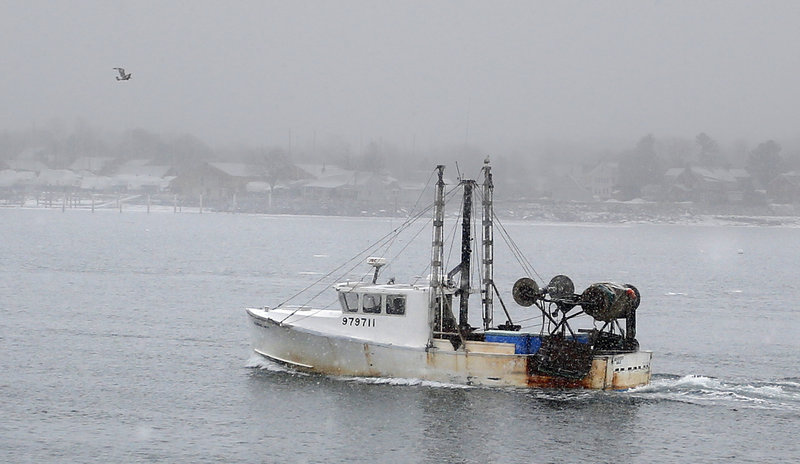 A groundfishing boat heads toward shore Monday near the Portland Fish Pier. Tighter restrictions may force fishermen to shift to healthier species with larger catch limits.