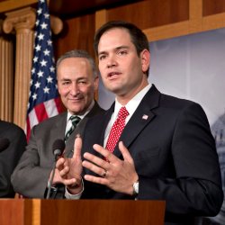 John McCain, Charles Schumer, Marco Rubio