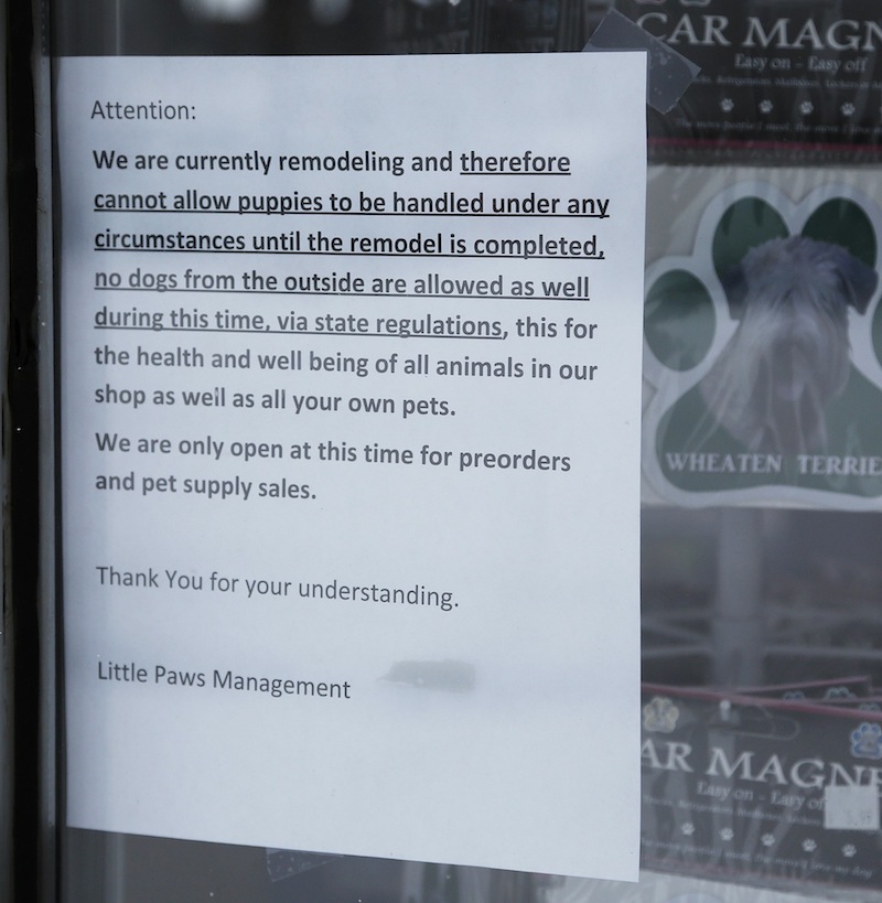 The state has put Little Paws Pet Shop in Scarborough under quarantine because a puppy sold there died after testing positive for parvovirus and giardia. Above, a sign on the store's front window on Friday, Feb. 8, 2013.