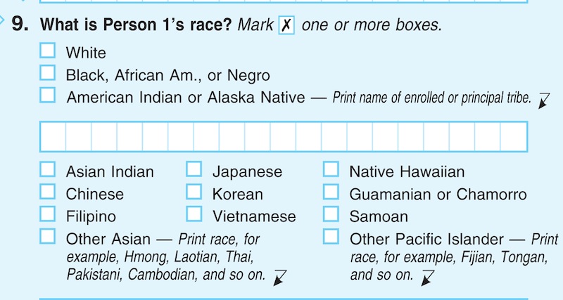 In this photograph of a sample 2010 US Census form, obtained by The Associated Press shows question 9: "What is Person 1's race", on the first page of the 2010 Census form, with options for White: Black, African Am., or Negro. After more than a century, the Census Bureau is dropping use of the word "Negro" to describe black Americans in its surveys. Instead of the term popularized during the Jim Crow era of racial segregation, census forms will use the more modern-day labels, “black” or “African-American”. (AP Photo)