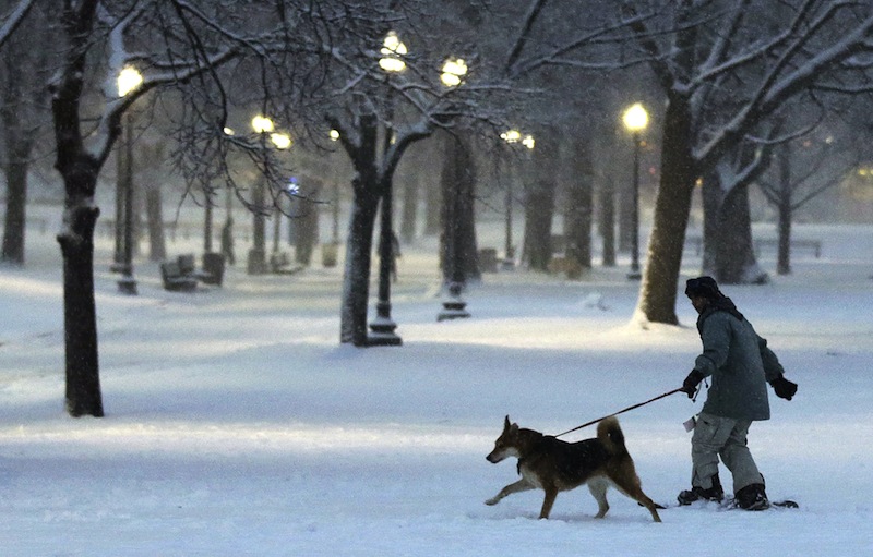A dog pulls a snowboarder through the Boston Common in Boston, Friday, Feb. 8, 2013. Mass. Gov. Deval Patrick declared a state of emergency Friday and banned travel on roads as of 4 p.m. as a blizzard that could bring nearly 3 feet of snow to the region began to intensify. As the storm gains strength, it will bring "extremely dangerous conditions" with bands of snow dropping up to 2 to 3 inches per hour at the height of the blizzard, Patrick said. (AP Photo/Charles Krupa)