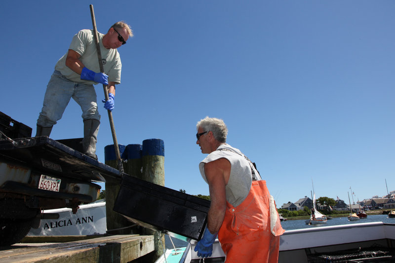 In this 2011 file photo, commercial fishermen unload containers of conch in Harwich, Mass. Lawmakers from Maine and two other states are urging federal regulators to "exercise all authority under the law" to help the New England groundfishing fleet weather severe catch limits that many fear could decimate the industry.