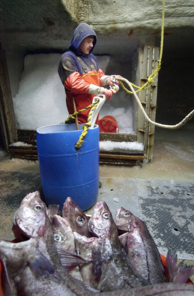 Chris Viola unloads groundfish aboard the trawler Adventurer in Portland in 2002. Collaborative research is critical to developing strategies that will both ensure the health of the fishery and keep fishermen in business, a reader says.