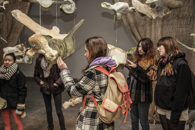 The DenDantos’ “BUMP” exhibit is made of suspended whale bones that are set in motion by intrigued visitors.