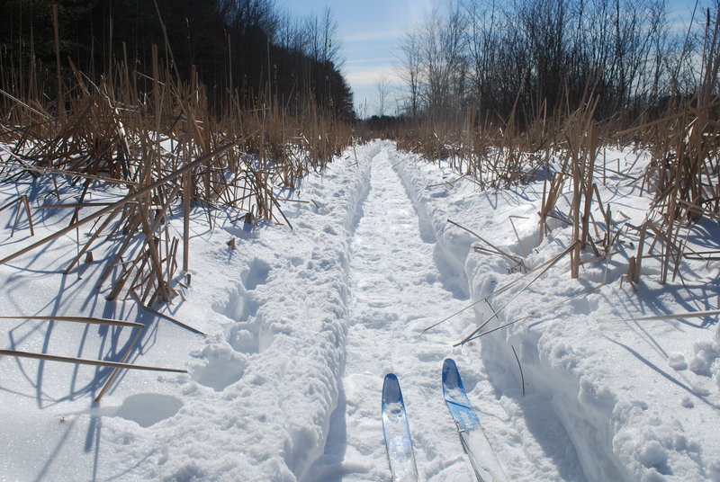 Low water levels precluded the moving of goods on the Peterson Canal, but when frozen at least it can be traveled by cross-country skiers and snowshoers.