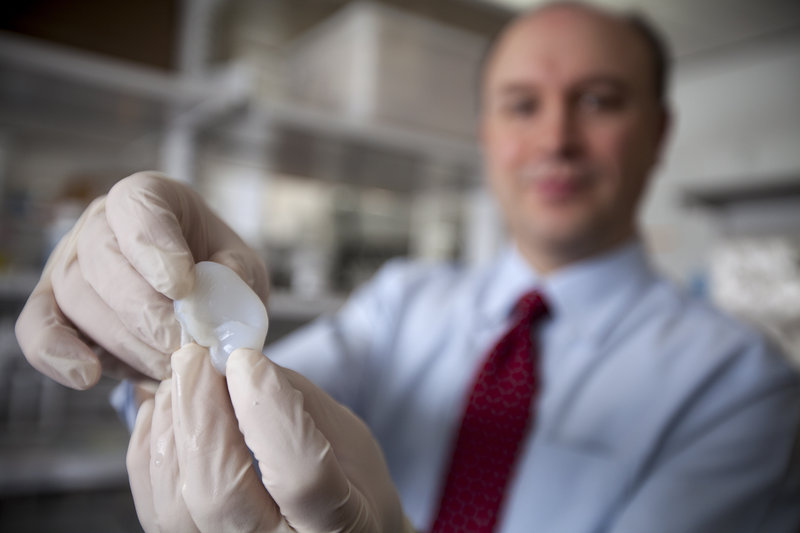 Cornell engineer Lawrence Bonassar holds the scaffolding for an ear his laboratory is creating using a 3-D printer and cells that produce cartilage.