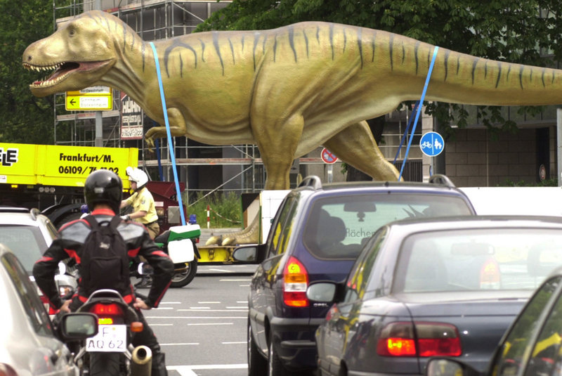A model that depicts Tyrannosaurus rex correctly is transported to a museum in Frankfurt, Germany, in 2002. When researchers asked college students and children to draw a T. rex, most gave it an upright posture.