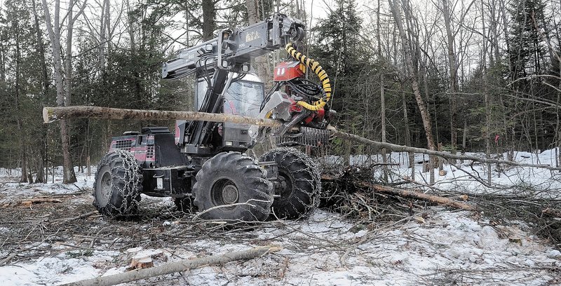 Scott Kinney cuts limbs from trees with a harvester in a select-cut operation in Sidney.