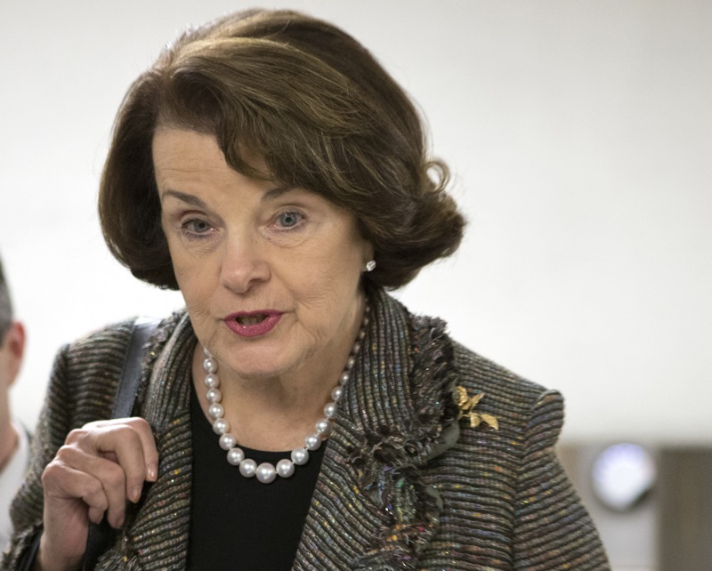 In this Feb. 25, 2013 file photo, Sen. Dianne Feinstein, D-Calif. speaks with reporters on Capitol Hill in Washington. Feinstein, the sponsor of a proposed assault weapons ban says Senate Majority Leader Harry Reid has told her that the ban will not be part of the initial gun control measure the Senate will debate next month. (AP Photo/J. Scott Applewhite)