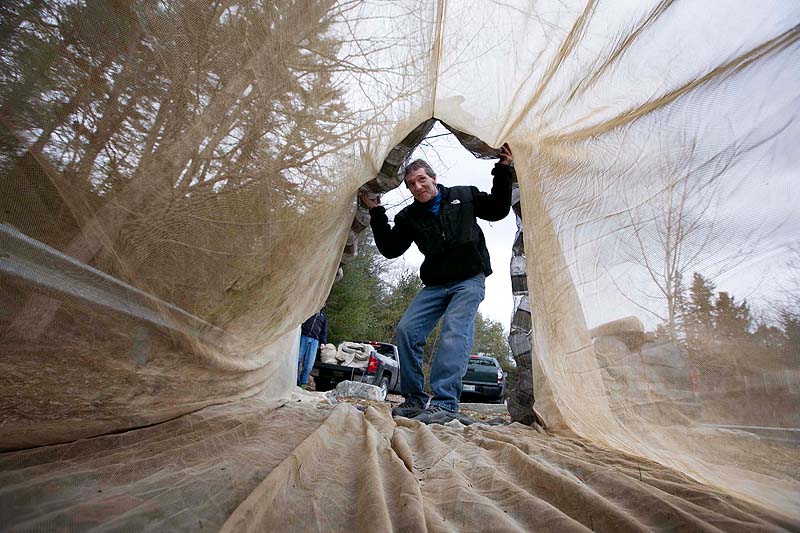 Eel fisherman Mike Murphy, of Cundy's Harbor inspects a 30-foot-long fyke net, in Falmouth. Last year, glass-eel fishermen at times got more than $2,500 a pound for their catch. Murphy and his fishing partners intend to spend the next eight days in a parking lot next to the Presumpscot River in order to hold their fishing spot until the elver season opens on March 22.