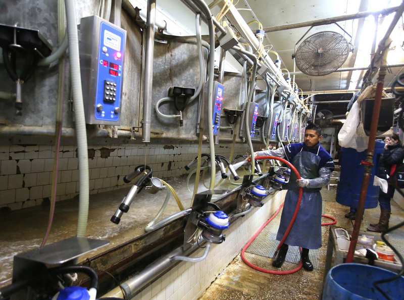 Worker Jorge Santiago washes down milking stalls between herds at Joe Wright’s dairy farm in Zolfo Springs, Fla. Wright says he couldn’t run his farm without immigrant labor.