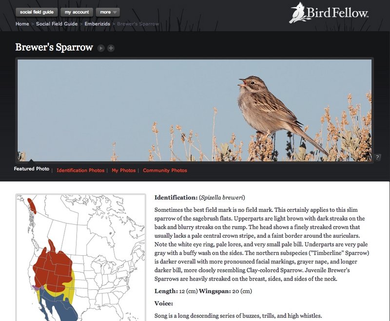 These screen shots show the new online resource for bird-watchers called BirdFellow. Users can access high-quality images and recordings of birds, plus many other features.