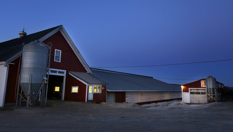 The light at dusk in January bathes Highland Farms in Cornish, a dairy farm owned and operated by the fifth generation of farmers. Despite federal and state safety nets, farms like this one struggle to make ends meet as prices for feed and fuel add to costs of production. Over decades, the number of Maine dairy operations has fallen precipitously, from 5,100 in 1945 to just 307 last year.
