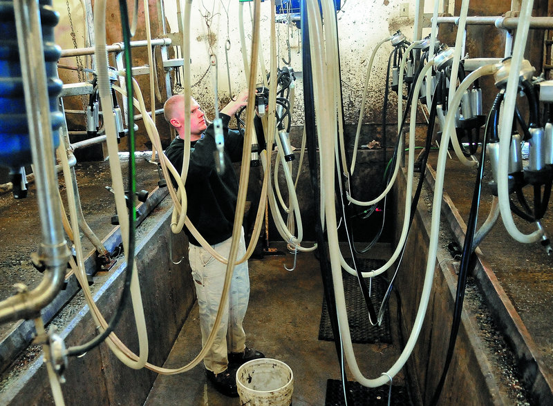 Barrett Russell, 22, prepares the milking station at his family’s dairy farm on Garland Road in Winslow on Thursday. The farm has about 50 dairy cows. A town committee is trying to remove barriers that might hinder farmers.