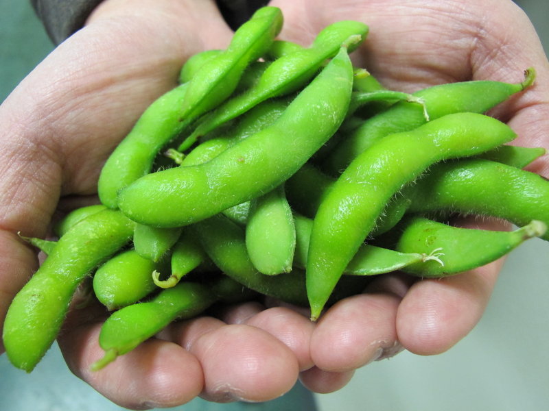 Edamame, often used in Asian cuisine, is being grown by U.S. farmers who see a market for the whole soybeans among Americans interested in protein alternatives to meat.