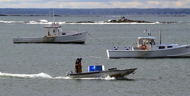In this December 11, 2012 file photo, lobster boats in Kettle Cove, Cape Elizabeth. A proposed bill would permit trawlers to sell "incidentally caught" Maine lobsters, something lobstermen strongly oppose.