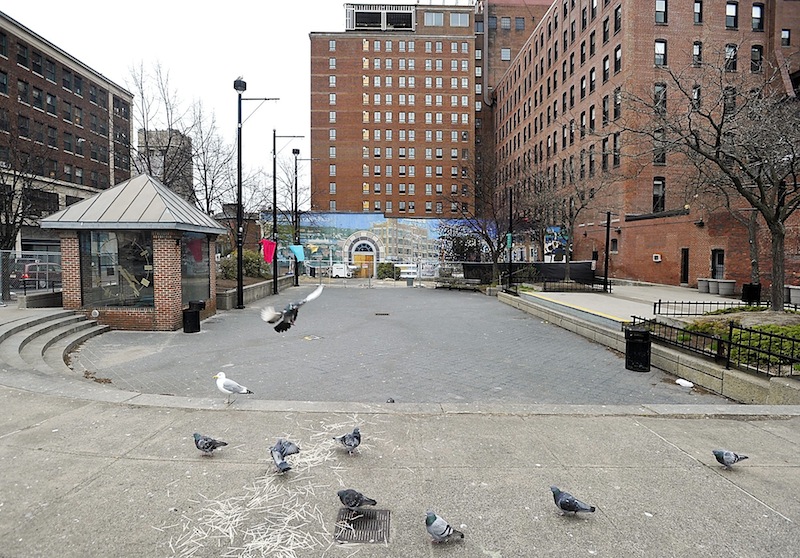 On Tuesday, April 23, 2013, pigeons congregate at Congress Square Plaza.
