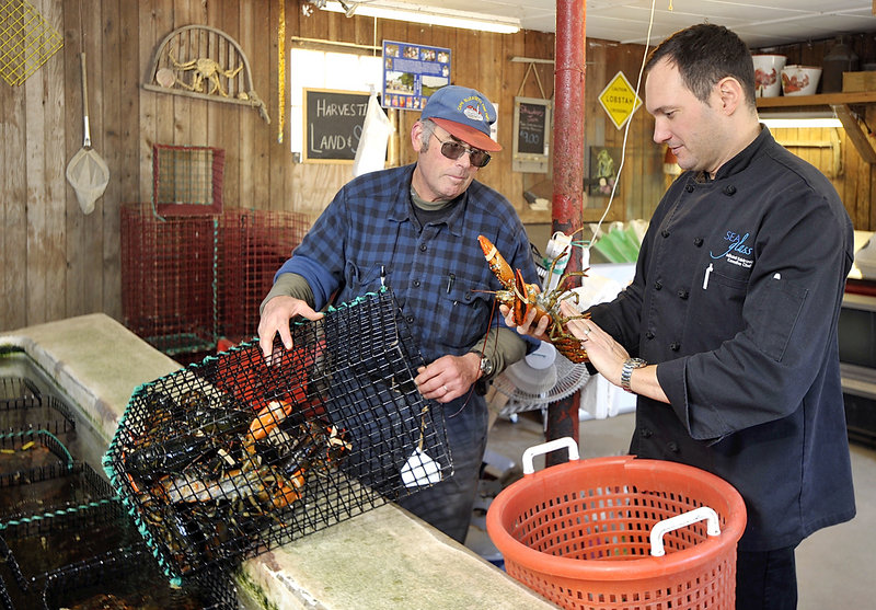 Mitchell Kaldrovich, right, chef at the Sea Glass Restaurant at Inn by the Sea in Cape Elizabeth, picks out his allotment of lobsters from Jodie Jordan, owner with his wife Patricia of Alewive’s Brook Farm, also in Cape Elizabeth. Kaldrovich was an early supporter of the Sustainable Seafood Culinary Partners effort.