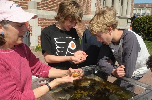 A firsthand look at aquatic life at the 2012 Green Neighbor Family Festival, following the Urban Runoff 5K, at Deering High School in Portland. This year’s race and festival take place Saturday.