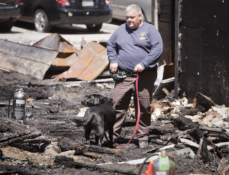 A fire investigator uses a dog to help find clues to a fire on Bartlett and Pierce Streets in Lewiston on Saturday morning.