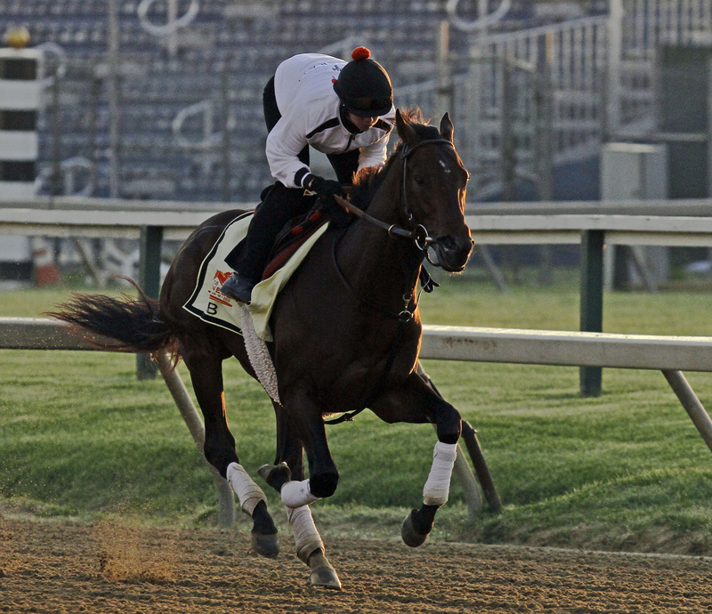 Exercise rider Jennifer Patterson gallops Preakness Stakes favorite and Kentucky Derby winner Orb at Pimlico Race Course on Friday in Baltimore. The Preakness is scheduled for Saturday.