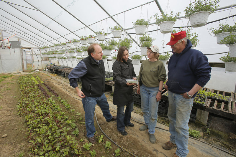 Tod Yankee, left, and Jamien Richardson visit with Kathy and Pete Karonis in a greenhouse at the Karonises’ Fairwinds Farm. Yankee and Richardson’s Maine Harvest Co. will provide “us, the farmer, an opportunity to market some of our seasonal produce throughout the whole season,” said Pete Karonis.