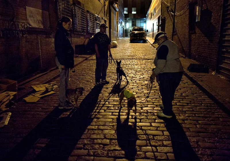Dogs and their owners gather in a Lower Manhattan alley where the canines of various breeds are encouraged to hunt and kill rodents.