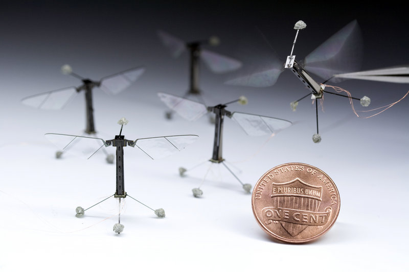 Robotic flies, shown with a penny to indicate their size, could one day aid in search-and-recovery efforts. Under development at Harvard University, they are examples of biologically inspired technology.